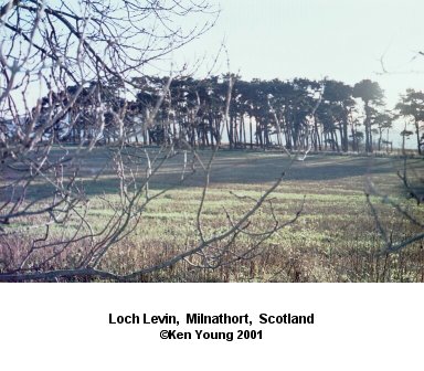 A photo of Loch Levin, but the harsh light was too much for the digital camera! Milnathort, Scotland. There are no links to or from this image. &copy;2001 - Ken Young